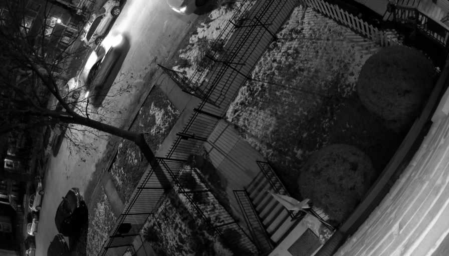 Reolink Camera Two_01_Reolink Home Hub One_20260123184808.jpg